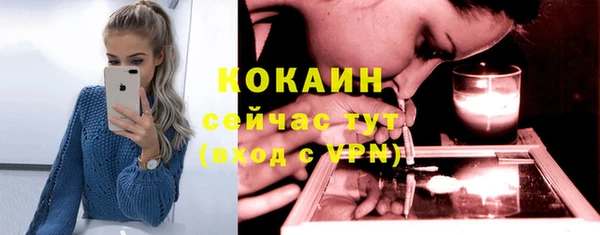 молекула духа Бронницы
