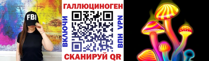 Псилоцибиновые грибы Cubensis  Новосибирск 